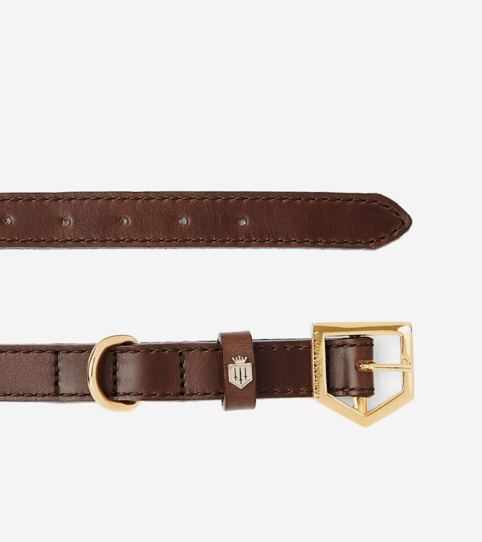 The Fitzroy Dog Collar