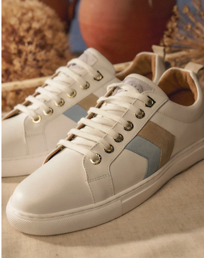 The Alexander Trainer