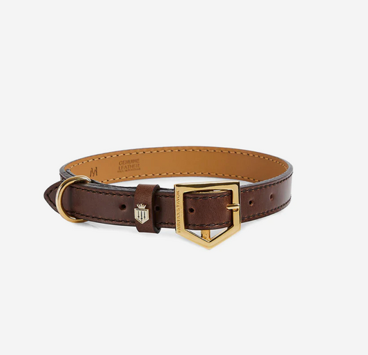 The Fitzroy Dog Collar